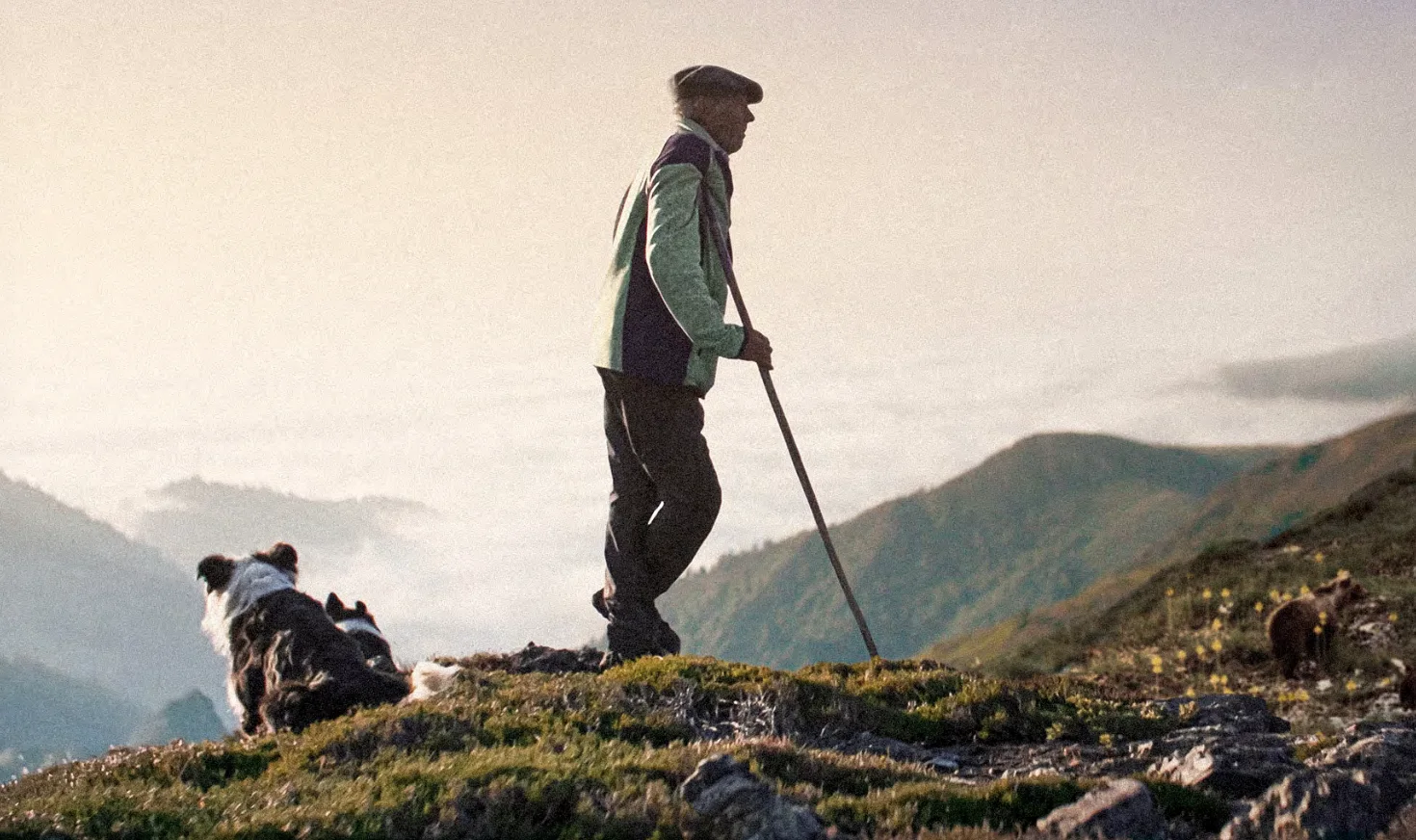 The Shepherd facing the mountain